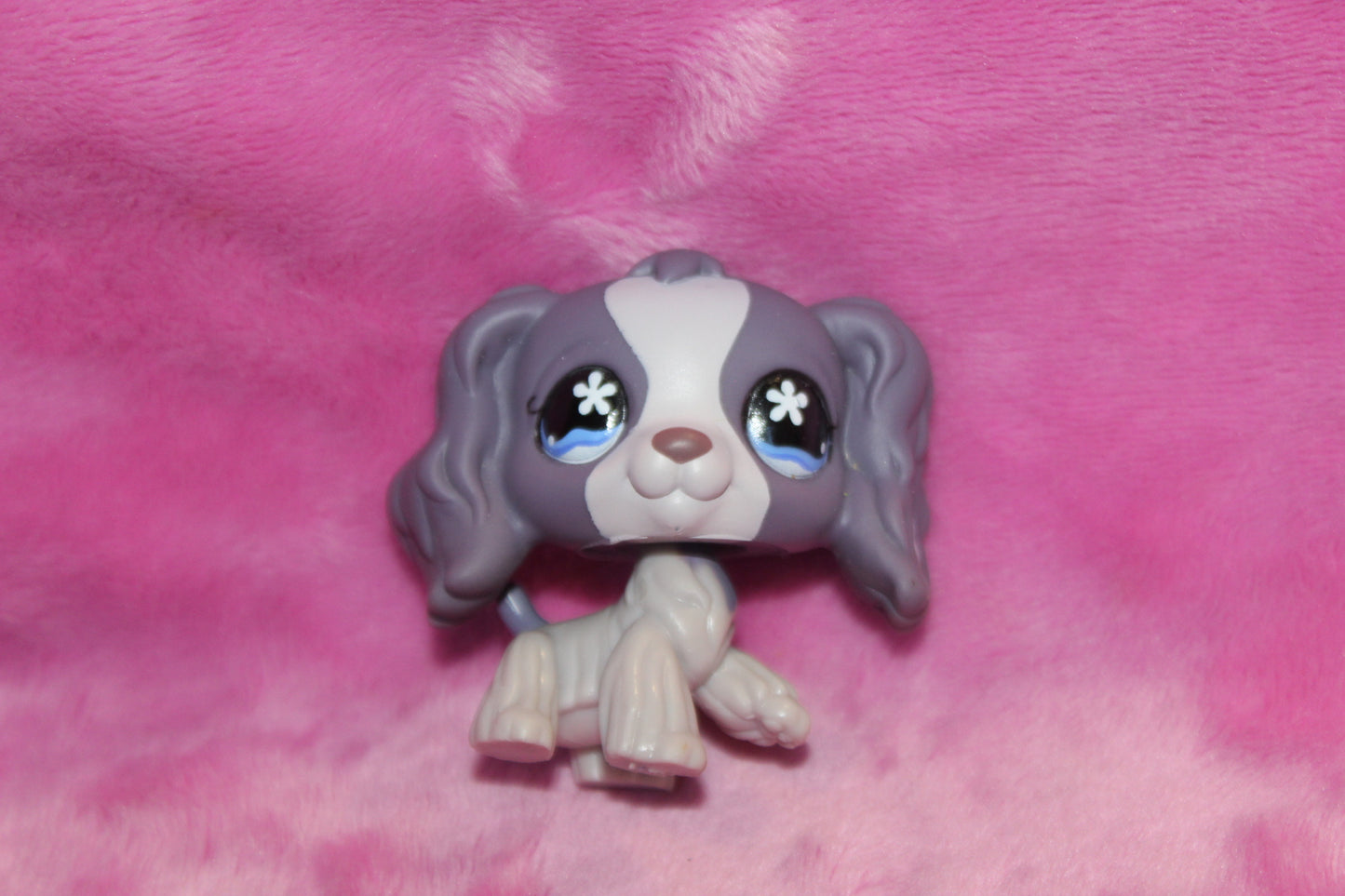 Authentic LPS Cocker Spaniel Dog