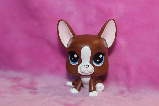 Authentic LPS New Gen Boston Terrier Dog