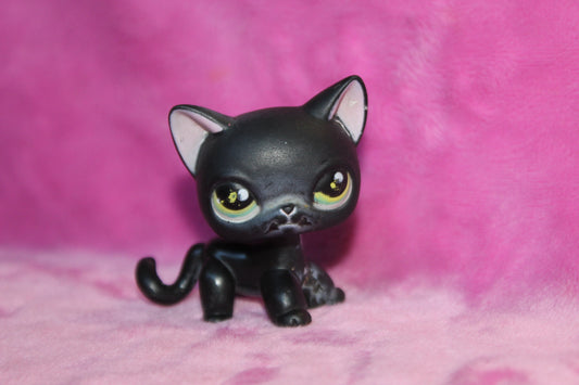 Authentic LPS Blemished Shorthair Cat