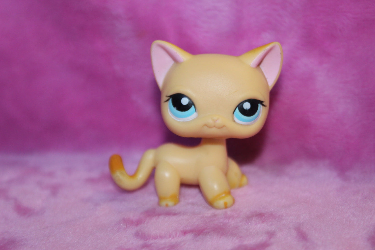 Authentic LPS Brooke Hayes LPS Popular Shorthair Cat