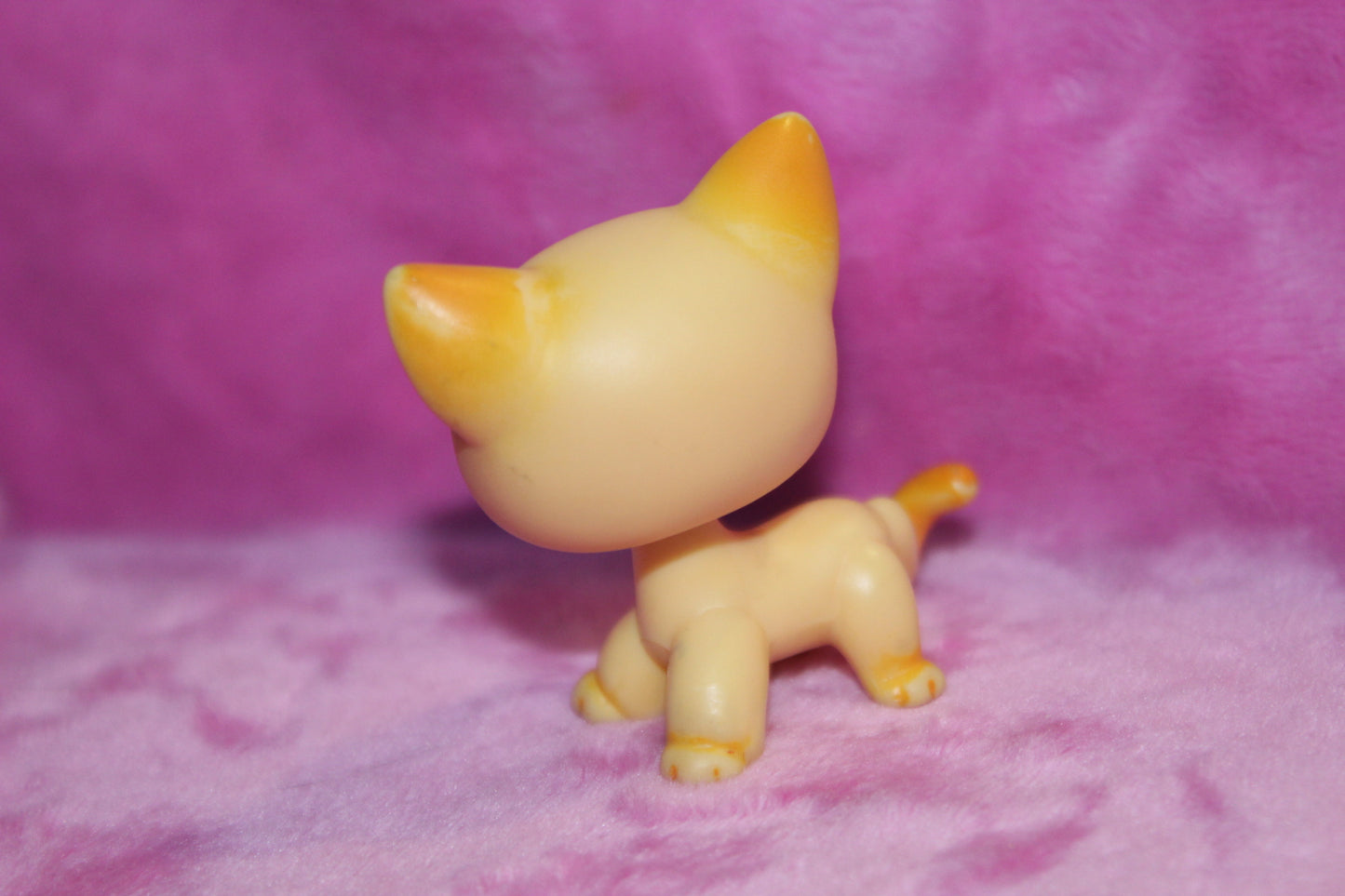 Authentic LPS Brooke Hayes LPS Popular Shorthair Cat